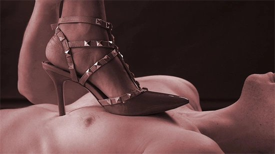 西檬之家-字母圈新人如何入圈：BDSM亚文化权威指南