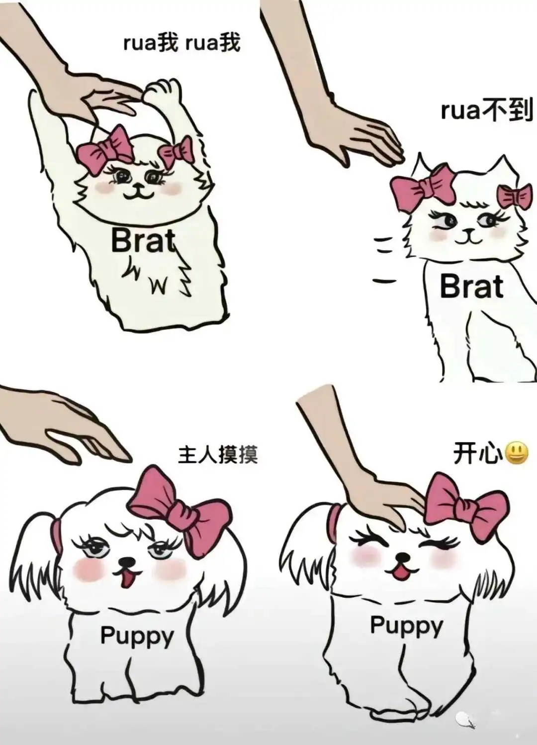 西檬之家-BDSM字母圈TK是什么意思？