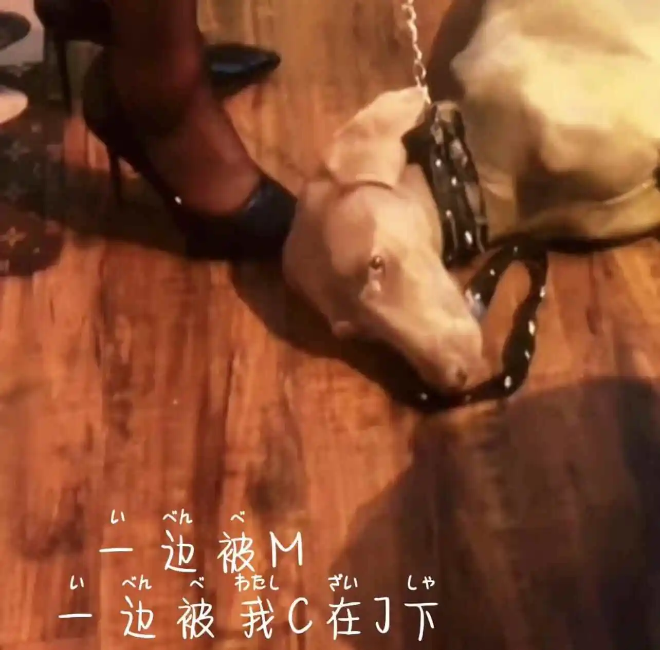 【西檬之家】斯慕圈新人入圈指南：理解BDSM与SSC原则