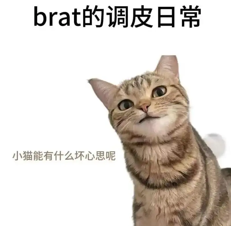 西檬之家-字母圈的PE（权力交换）指南