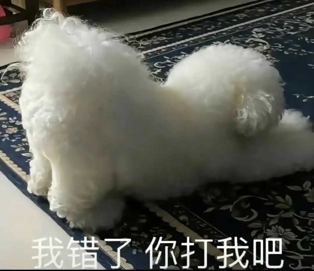 西檬之家-字母圈新人指南：如何理解BDSM核心术语与安全原则