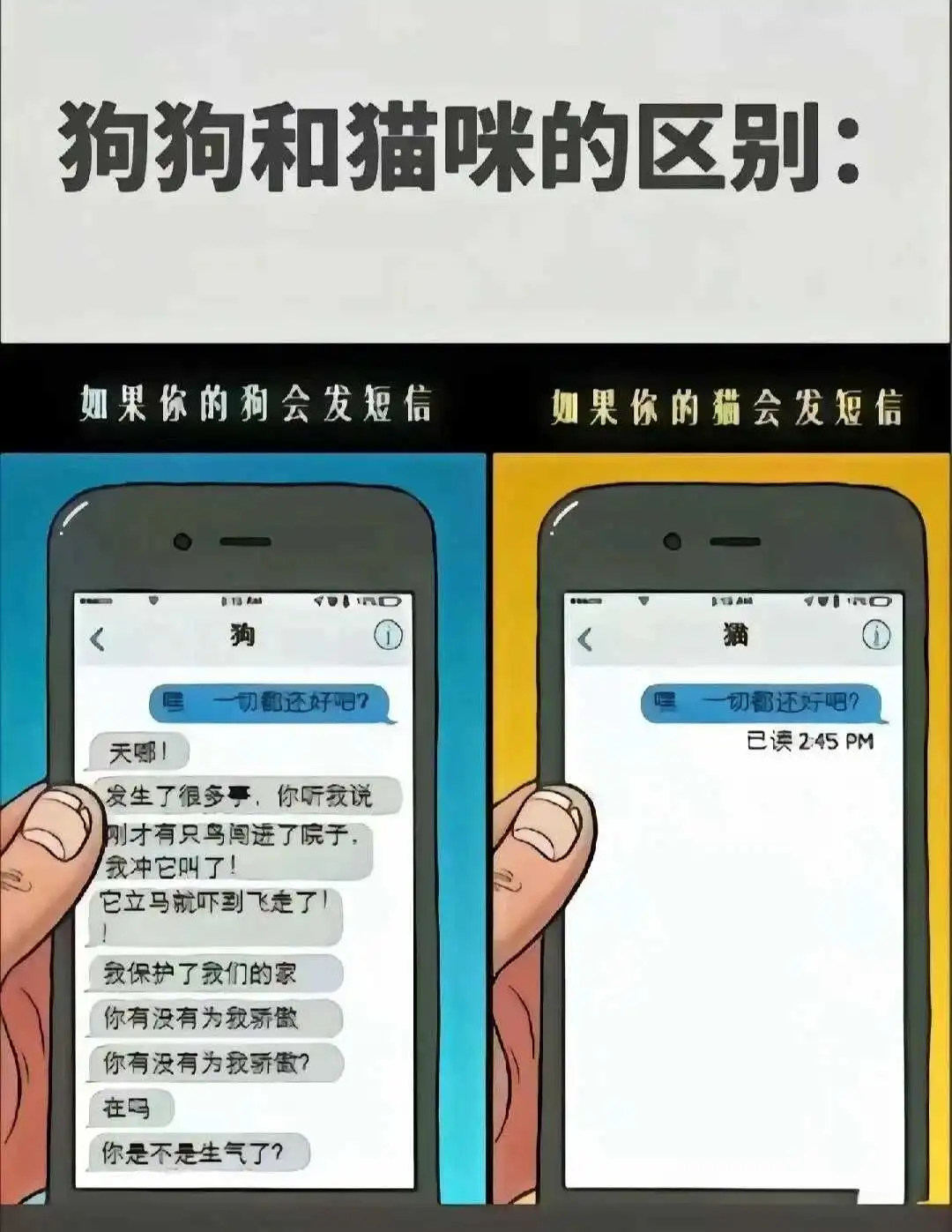 西檬之家-BD新人入圈指南：从基础术语到实践安全