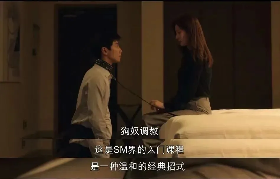 西檬之家-字母圈的Dom是什么意思？
