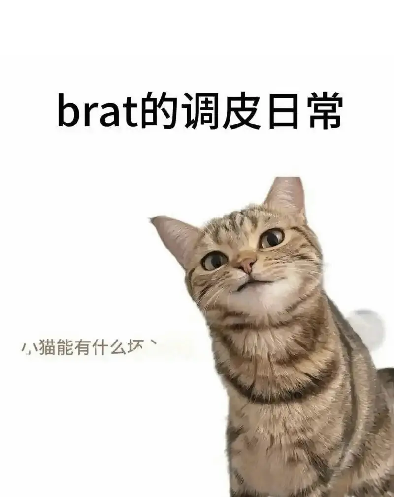 【西檬之家】Sp是什么意思？字母圈新人必读的权威指南