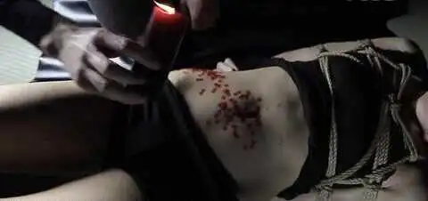 西檬之家-BDSM字母圈DT是什么？你的情欲语言指南